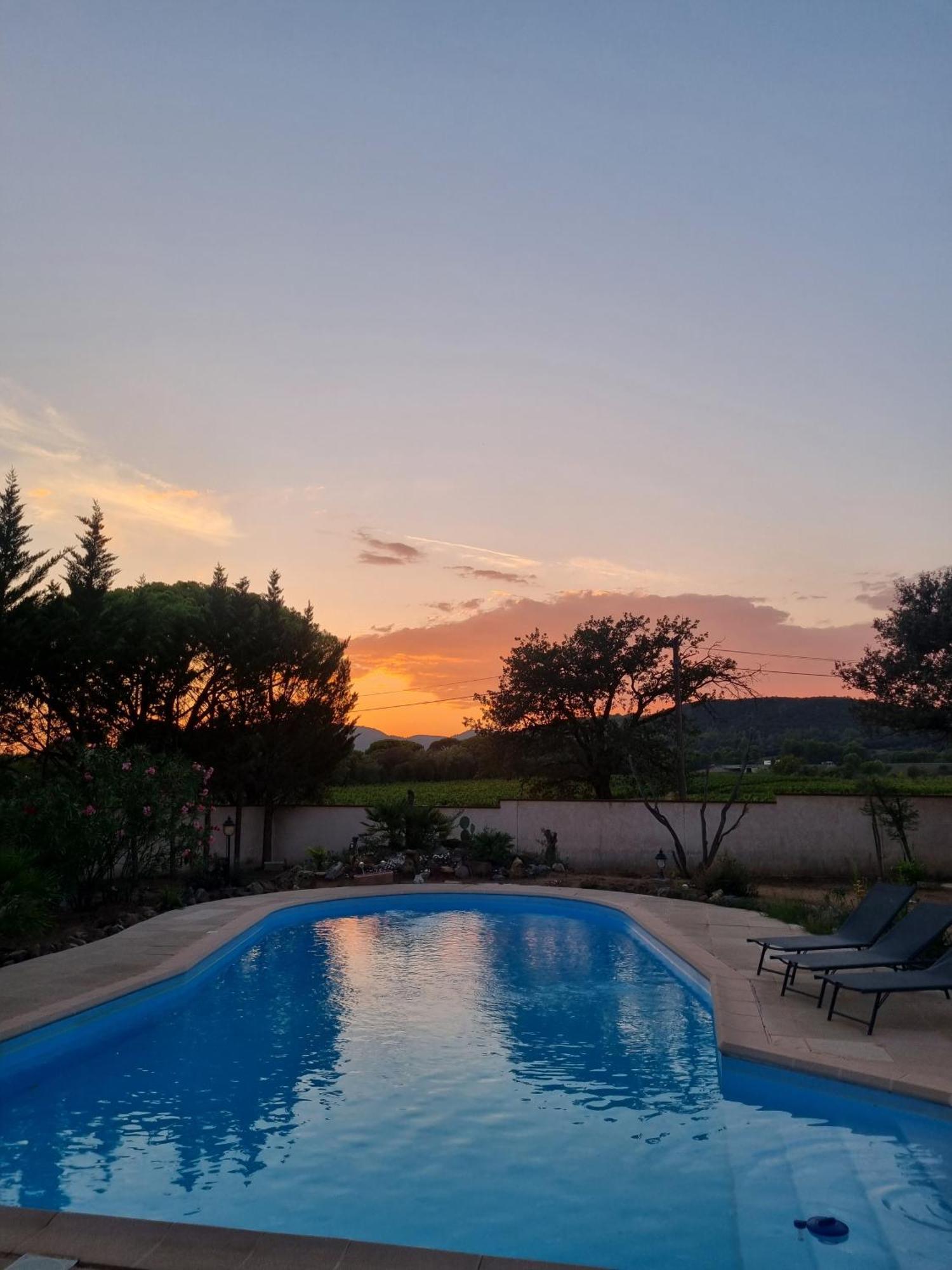 Chambre Face Aux Vignes Vidauban Exterior photo